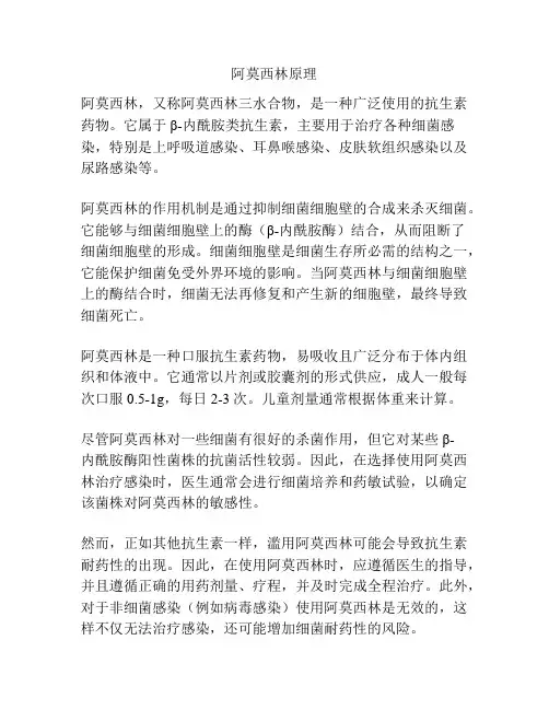 阿莫西林原理