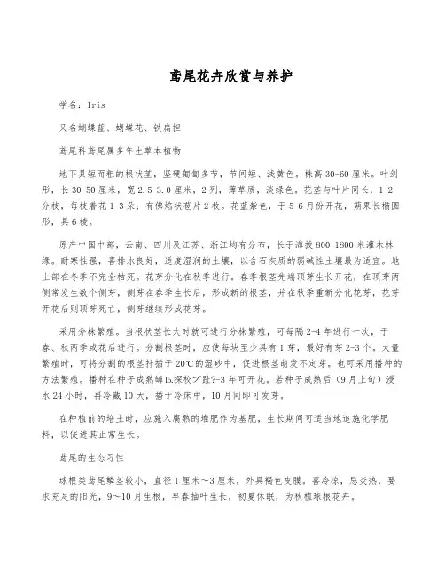 鸢尾花卉欣赏与养护