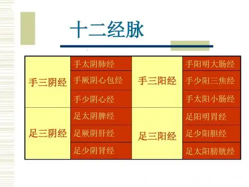 经络腧穴各论医学PPT课件