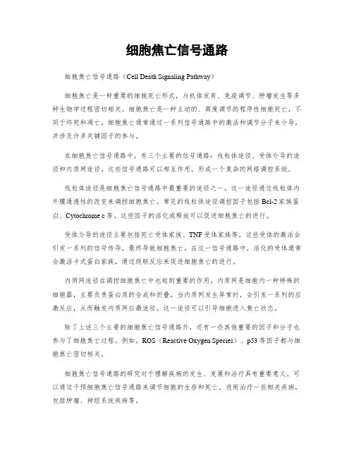 细胞焦亡信号通路