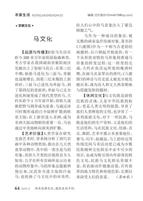 马文化