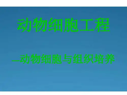 动物细胞工程 PPT