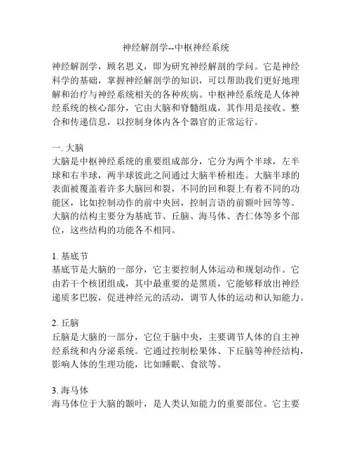 神经解剖学--中枢神经系统