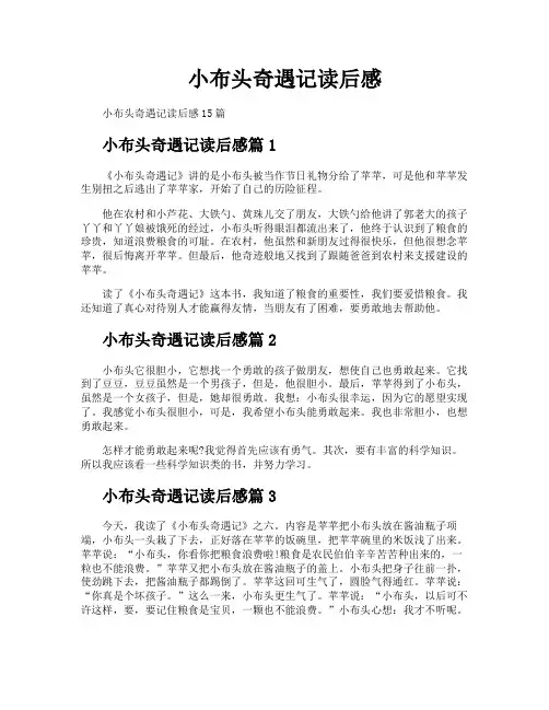 小布头奇遇记读后感