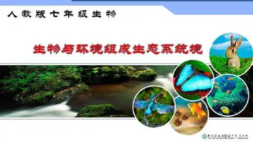 01.02.02-生物与环境组成生态系统