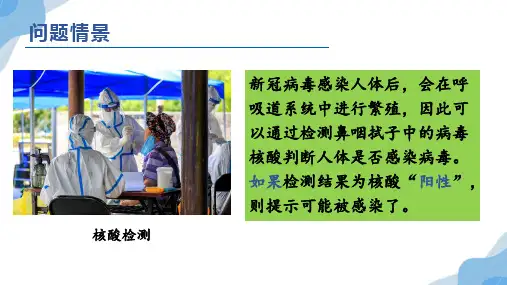 核酸是遗传信息的携带者课件(共23张PPT1份视频)(人教版2019必修1)