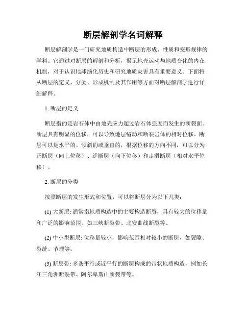 断层解剖学名词解释