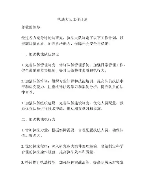 执法大队工作计划