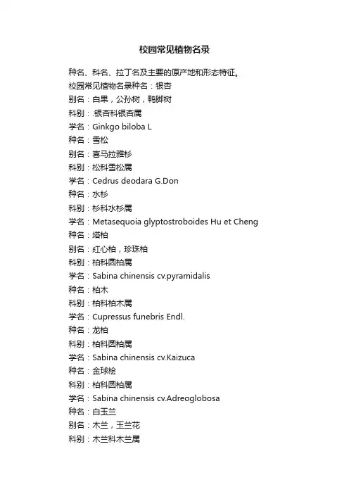 校园常见植物名录