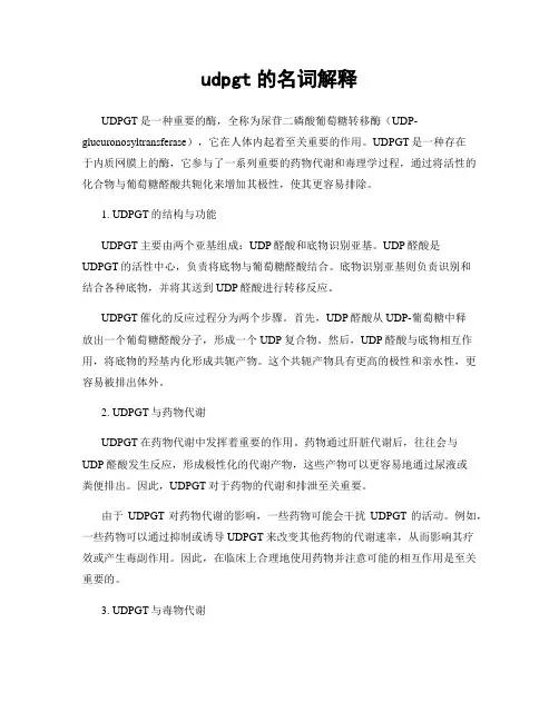 udpgt的名词解释