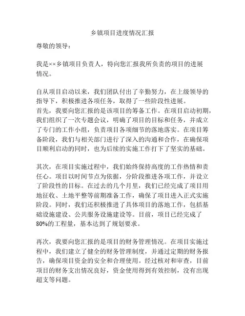 乡镇项目进度情况汇报