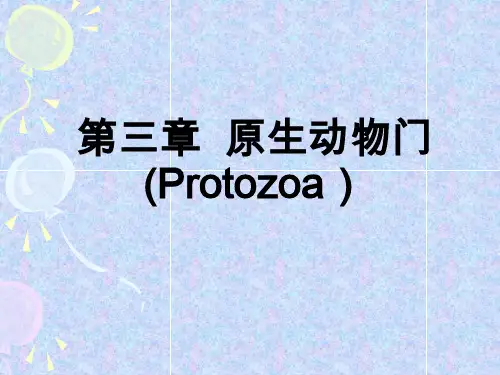 02原生动物