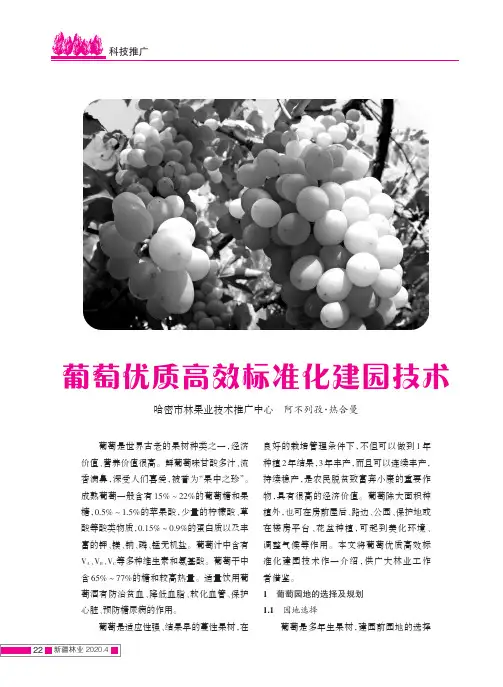 葡萄优质高效标准化建园技术