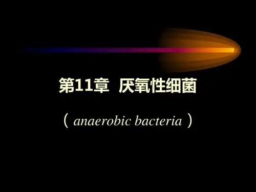 厌氧性细菌