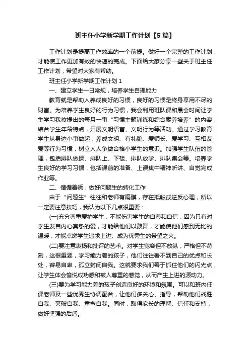 班主任小学新学期工作计划【5篇】