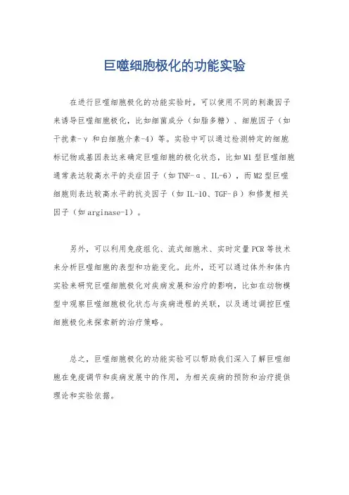 巨噬细胞极化的功能实验