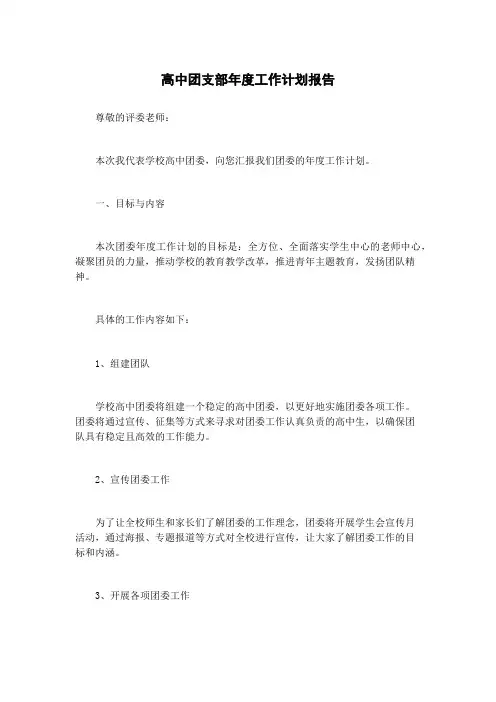 高中团支部年度工作计划报告
