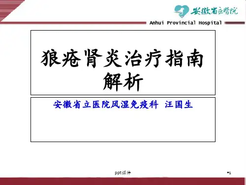 狼疮肾炎治疗指南解析  ppt课件