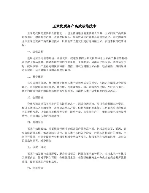 玉米优质高产高效栽培技术