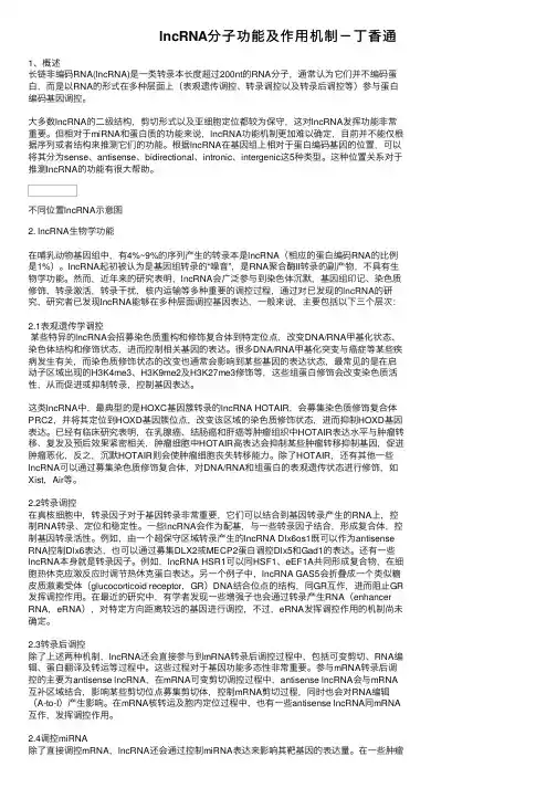 lncRNA分子功能及作用机制－丁香通