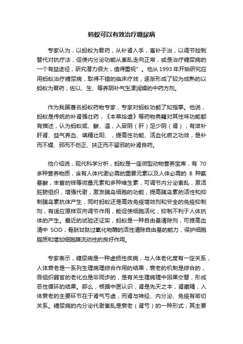 蚂蚁可以有效治疗糖尿病