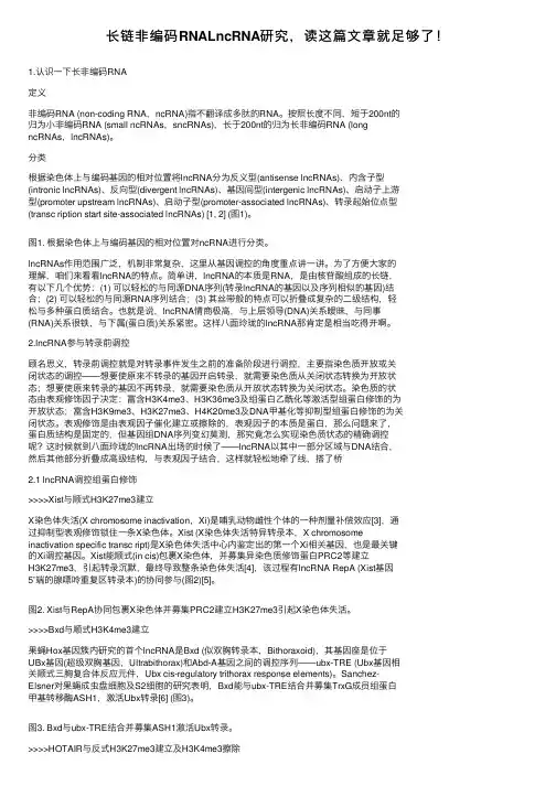长链非编码RNALncRNA研究，读这篇文章就足够了！