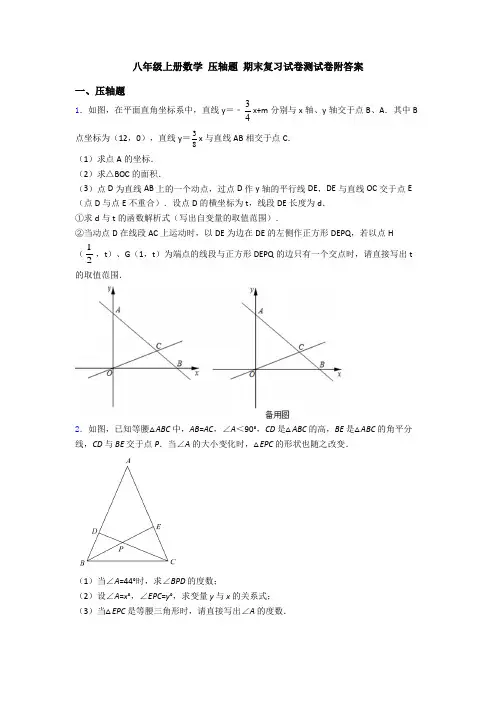 八年级上册数学 压轴题 期末复习试卷测试卷附答案
