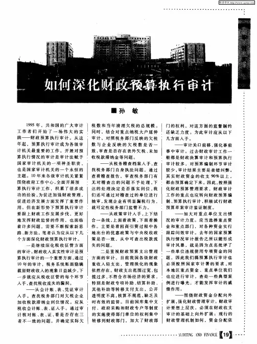 如何深化财政预算执行审计