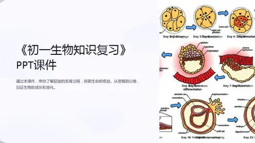 《初一生物知识复习》课件