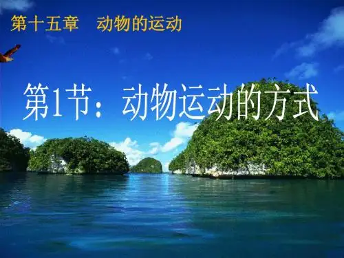 15.1动物运动的方式