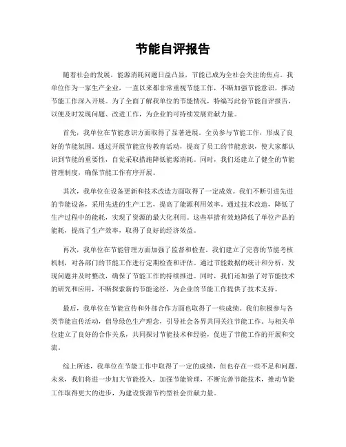 节能自评报告