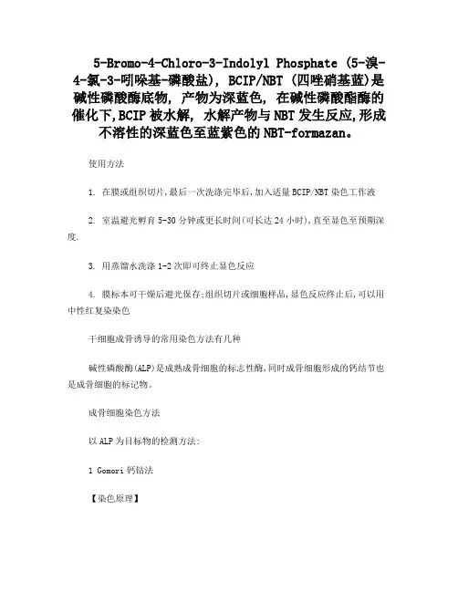 碱性磷酸酶显色剂使用方法