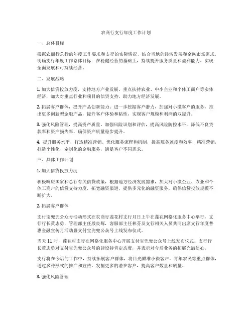 农商行支行年度工作计划