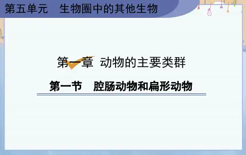 人教版八年级上册生物《第1章  第1节 腔肠动物和扁形动物 第1节 腔肠动物和扁形动物》课件