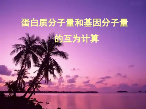 蛋白质分子量和基因分子量的互为计算