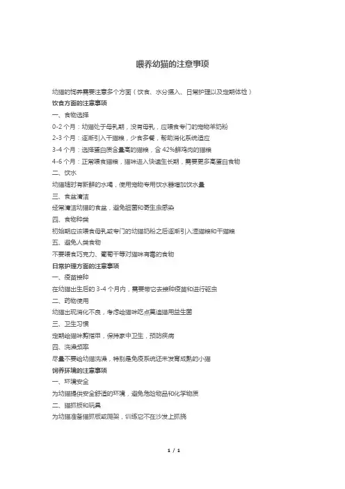 喂养幼猫的注意事项