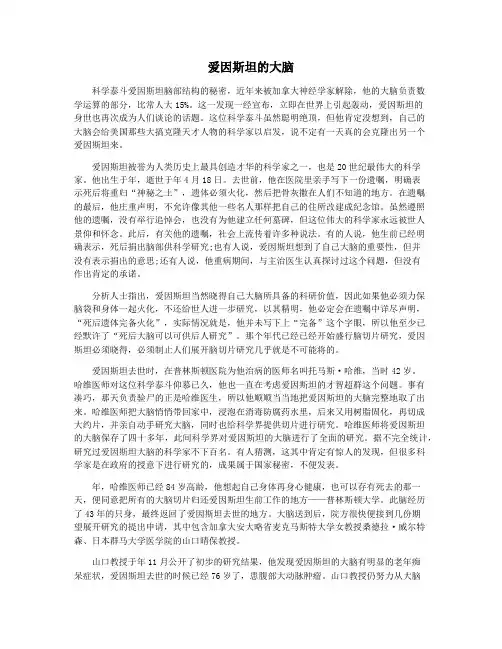 爱因斯坦的大脑