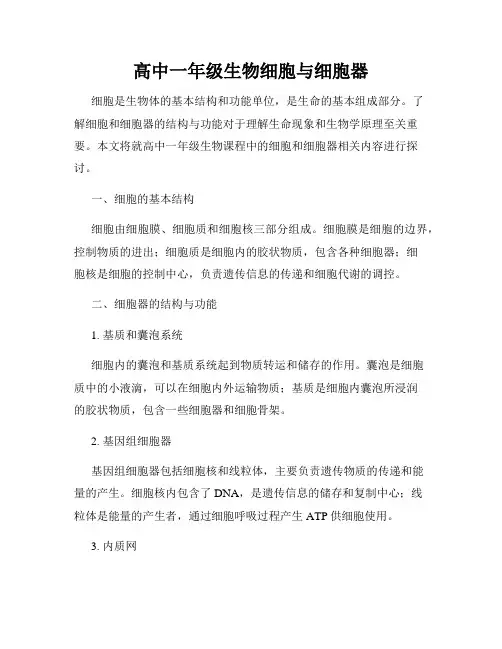 高中一年级生物细胞与细胞器