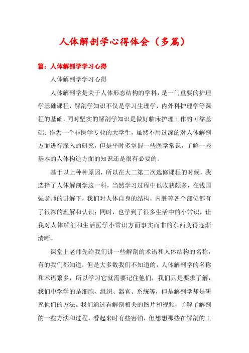 人体解剖学心得体会(多篇)