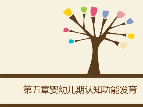 认知功能发育
