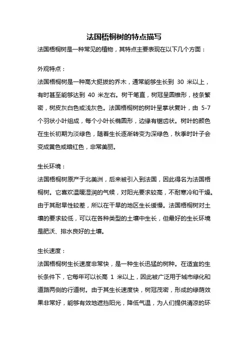 法国梧桐树的特点描写