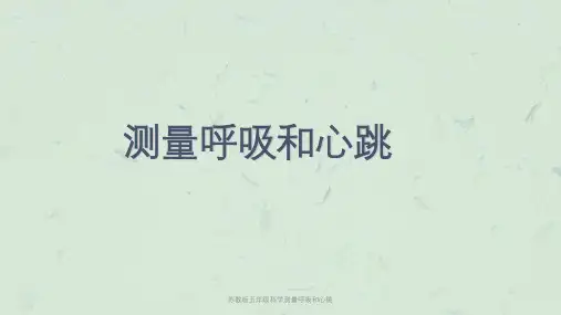 苏教版五年级科学测量呼吸和心跳课件