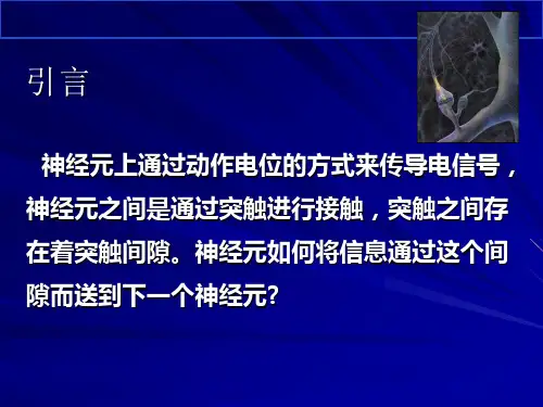 神经电信号的传递