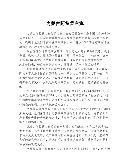 内蒙古阿拉善左旗