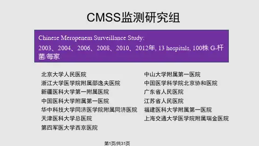 CMSS简介实用PPT课件