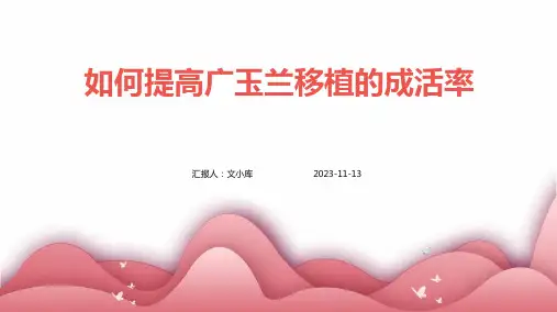 如何提高广玉兰移植的成活率