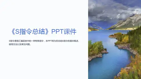 《S指令总结》课件