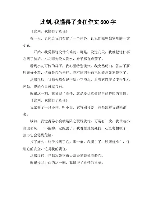 此刻,我懂得了责任作文600字