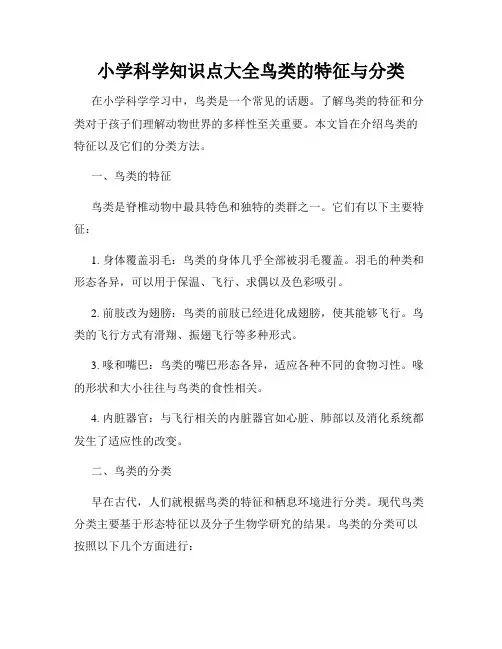 小学科学知识点大全鸟类的特征与分类