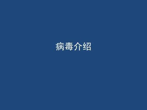 病毒介绍